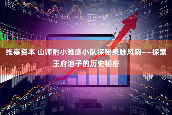 维嘉资本 山师附小雏鹰小队探秘泉脉风韵——探索王府池子的历史秘密