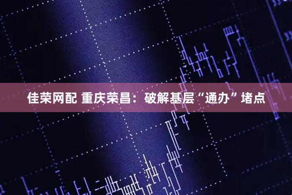 佳荣网配 重庆荣昌：破解基层“通办”堵点