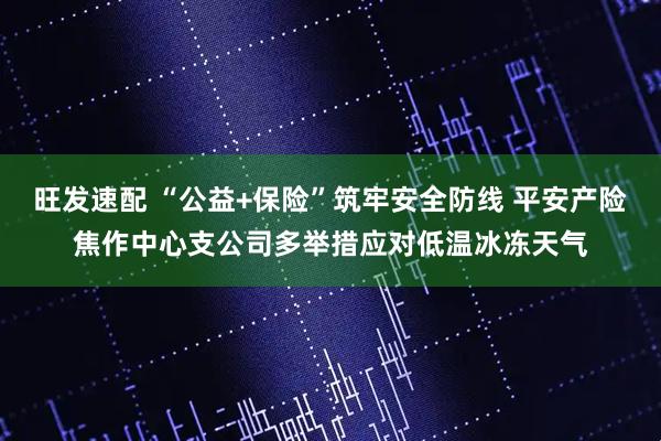 旺发速配 “公益+保险”筑牢安全防线 平安产险焦作中心支公司多举措应对低温冰冻天气